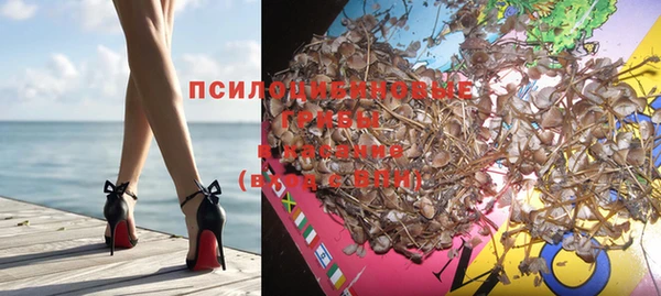 соль курить ск Елизово