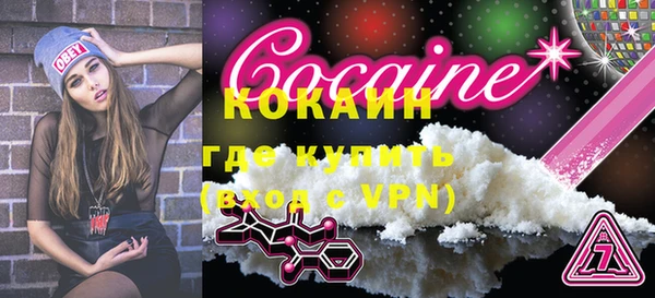 дурь Ельня