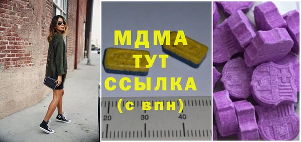 дурь Ельня