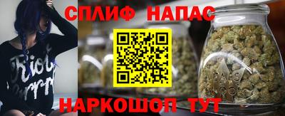 мяу мяу мука Гатчина