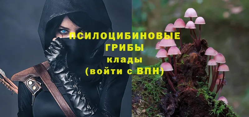 Галлюциногенные грибы Magic Shrooms  Зима 