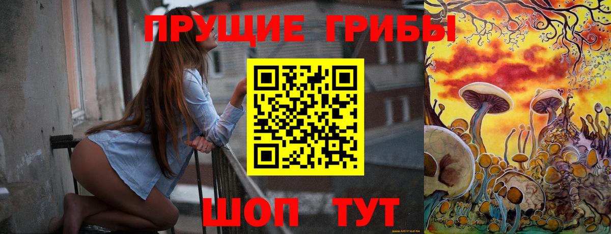 Галлюциногенные грибы мухоморы  продажа наркотиков  Зима  Вход с VPN 